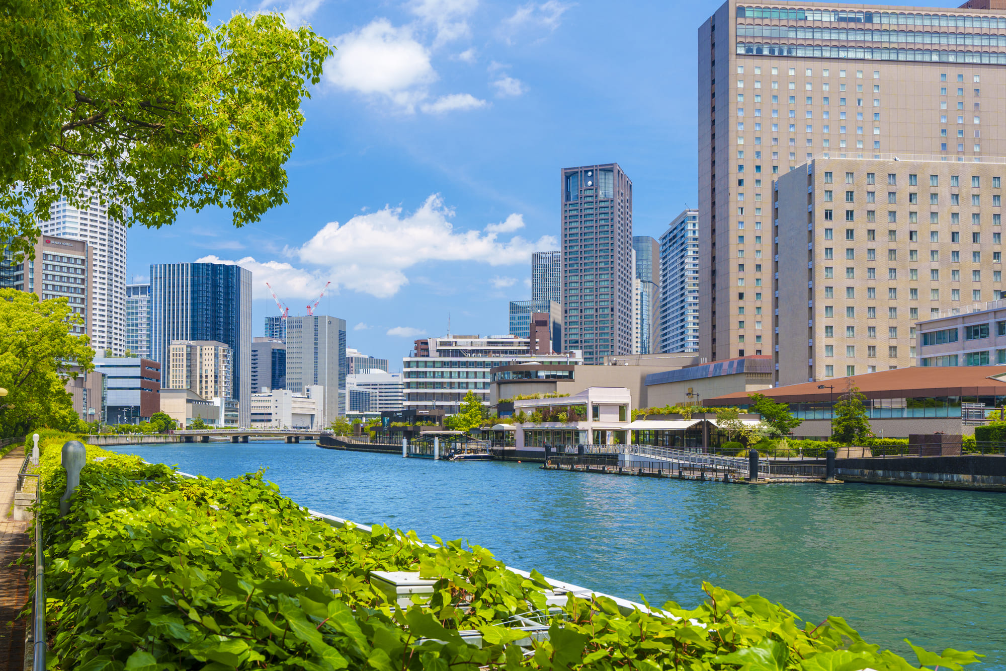 北区中之島のマンションの見える風景