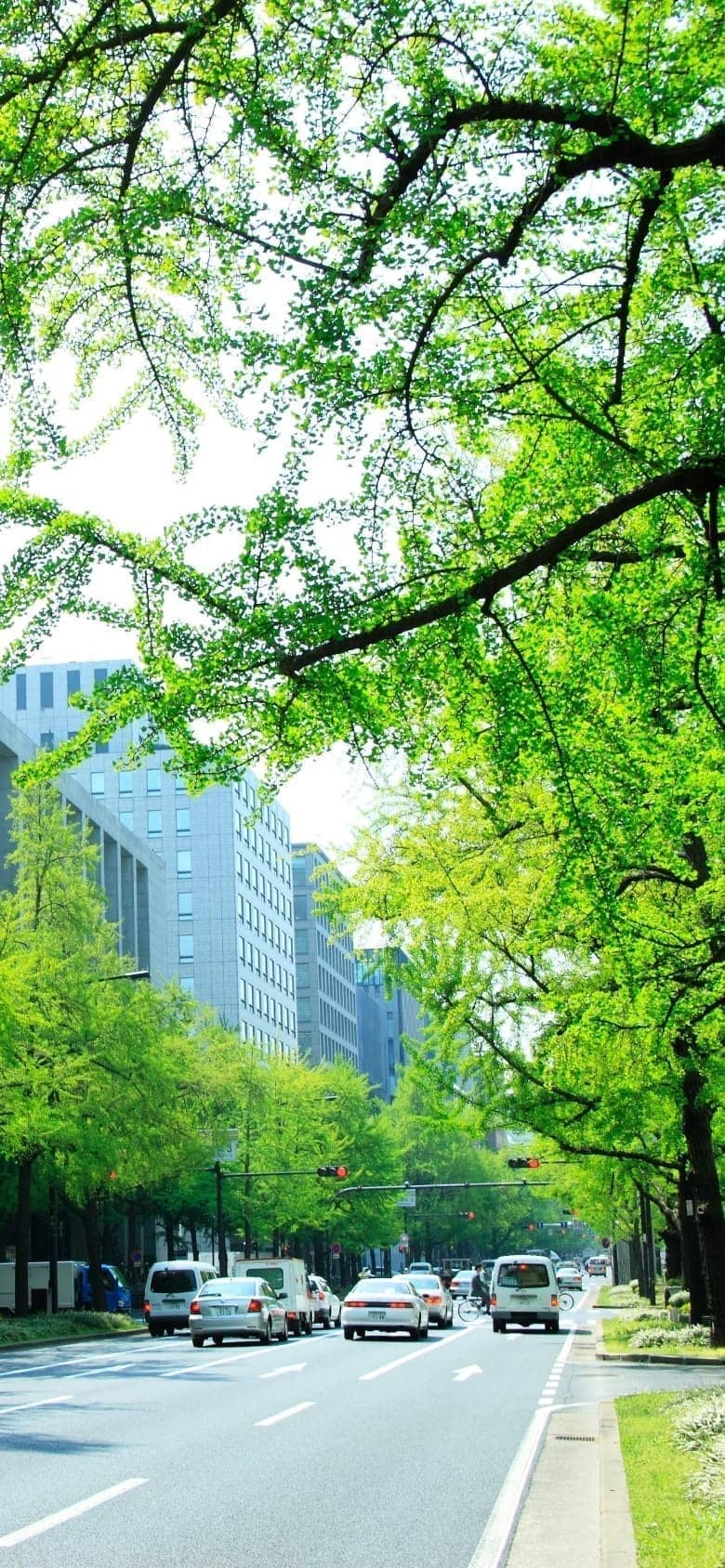 新緑の並木道と都市の街並み